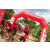 Team 05 / Raid Amazones Sri Lanka 2018 - J5 Bike and Run