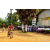 Team 66 / Raid Amazones Sri Lanka 2018 - J5 Bike and Run