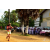 Team 66 / Raid Amazones Sri Lanka 2018 - J5 Bike and Run