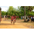 Team 50 / Raid Amazones Sri Lanka 2018 - J5 Bike and Run