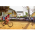 Team 106 / Raid Amazones Sri Lanka 2018 - J5 Bike and Run