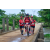 Team 114 / Raid Amazones Sri Lanka 2018 - J5 Bike and Run