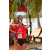 Team 12 / Raid Amazones Sri Lanka 2018 - J5 Bike and Run