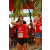 Team 12 / Raid Amazones Sri Lanka 2018 - J5 Bike and Run