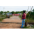 Raid Amazones Sri Lanka 2018 - J5 Bike and Run