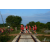 Team 31 / Raid Amazones Sri Lanka 2018 - J5 Bike and Run