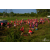 Raid Amazones Sri Lanka 2018 - J5 Bike and Run