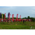 Raid Amazones Sri Lanka 2018 - J5 Bike and Run