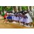 Team 150 / Raid Amazones Sri Lanka 2018 - J5 Bike and Run