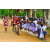 Team 109 / Raid Amazones Sri Lanka 2018 - J5 Bike and Run