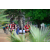 Team 01 / Raid Amazones Sri Lanka 2018 - J5 Bike and Run