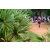 Team 74 / Raid Amazones Sri Lanka 2018 - J5 Bike and Run