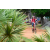 Team 74 / Raid Amazones Sri Lanka 2018 - J5 Bike and Run
