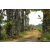 Raid Amazones Sri Lanka 2018 - J5 Bike and Run