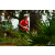 Team 138 / Raid Amazones Sri Lanka 2018 - J5 Bike and Run