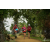 Team 31 / Raid Amazones Sri Lanka 2018 - J5 Bike and Run