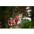 Team 31 / Raid Amazones Sri Lanka 2018 - J5 Bike and Run