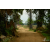 Raid Amazones Sri Lanka 2018 - J5 Bike and Run
