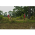 Raid Amazones Sri Lanka 2018 - J5 Bike and Run