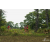 Team 137 / Raid Amazones Sri Lanka 2018 - J5 Bike and Run