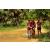 Team 104 / Raid Amazones Sri Lanka 2018 - J5 Bike and Run