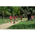 Team 70 / Raid Amazones Sri Lanka 2018 - J5 Bike and Run
