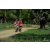 Team 103 / Raid Amazones Sri Lanka 2018 - J5 Bike and Run