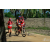 Team 103 / Raid Amazones Sri Lanka 2018 - J5 Bike and Run