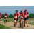 Team 104 / Raid Amazones Sri Lanka 2018 - J5 Bike and Run