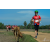 Team 42 / Raid Amazones Sri Lanka 2018 - J5 Bike and Run