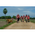 Team 103 / Raid Amazones Sri Lanka 2018 - J5 Bike and Run