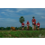 Team 108 / Raid Amazones Sri Lanka 2018 - J5 Bike and Run