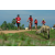 Team 138 / Raid Amazones Sri Lanka 2018 - J5 Bike and Run
