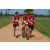 Team 104 / Raid Amazones Sri Lanka 2018 - J5 Bike and Run
