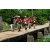 Team 70 / Raid Amazones Sri Lanka 2018 - J5 Bike and Run