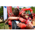 Team 53 / Raid Amazones Sri Lanka 2018 - J5 Bike and Run