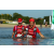 Team 31 / Raid Amazones Sri Lanka 2018 - J6 Trail
