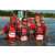Team 145 / Raid Amazones Sri Lanka 2018 - J6 Trail