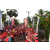 Raid Amazones Sri Lanka 2018 - J6 Trail