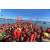 Raid Amazones Sri Lanka 2018 - J6 Trail