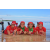 Team 40 / Raid Amazones Sri Lanka 2018 - J6 Trail