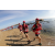 Team 108 / Raid Amazones Sri Lanka 2018 - J6 Trail