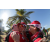 Raid Amazones Sri Lanka 2018 - J6 Trail