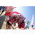 Team 54 / Raid Amazones Sri Lanka 2018 - J6 Trail