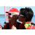 Team 101 / Raid Amazones Sri Lanka 2018 - J6 Trail