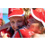 Raid Amazones Sri Lanka 2018 - J6 Trail