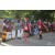 Team 36 / Raid Amazones Sri Lanka 2018 - J6 Trail