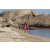 Team 12 / Raid Amazones Sri Lanka 2018 - J6 Trail