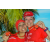 Team 46 / Raid Amazones Sri Lanka 2018 - J6 Trail