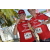 Team 22 / Raid Amazones Sri Lanka 2018 - J6 Trail
